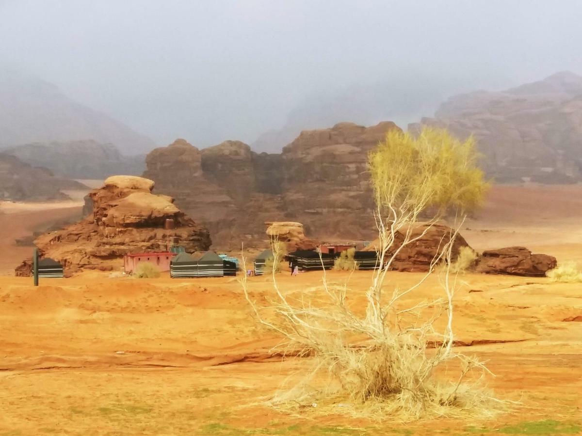 Bedouin Culture Camp Wadi Rum Esterno foto